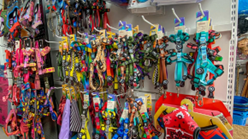 Acessórios na Nutriaves Pet Center