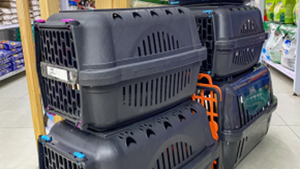 Caixa de transporte para pet na Nutriaves Pet Center